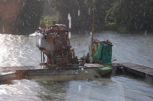 The Garden of Bling in the tornado